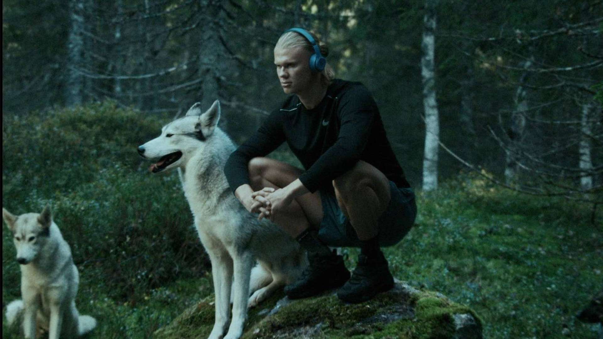 起伏不定 起伏不定